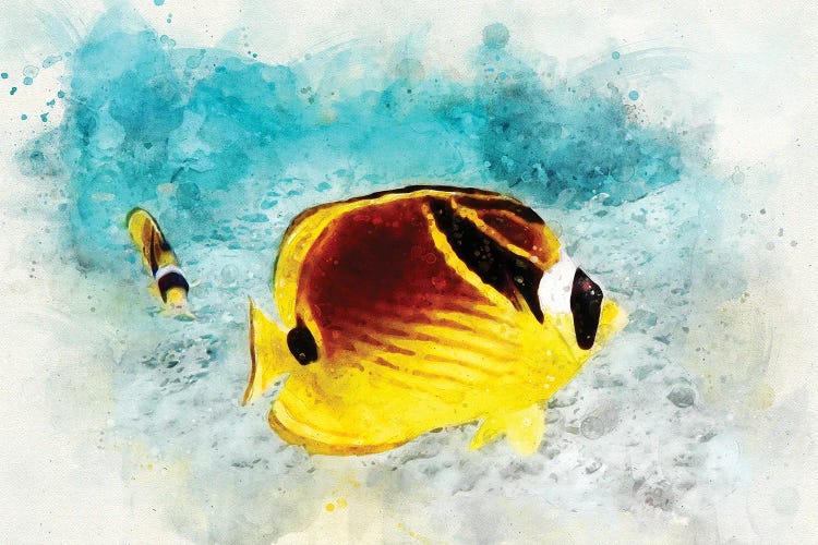 Raccoon Butterflyfish Watercolor