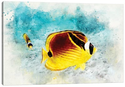 Raccoon Butterflyfish Watercolor Canvas Art Print