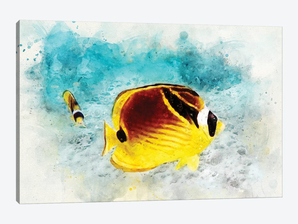 Raccoon Butterflyfish Watercolor by Christine Zalewski 1-piece Art Print