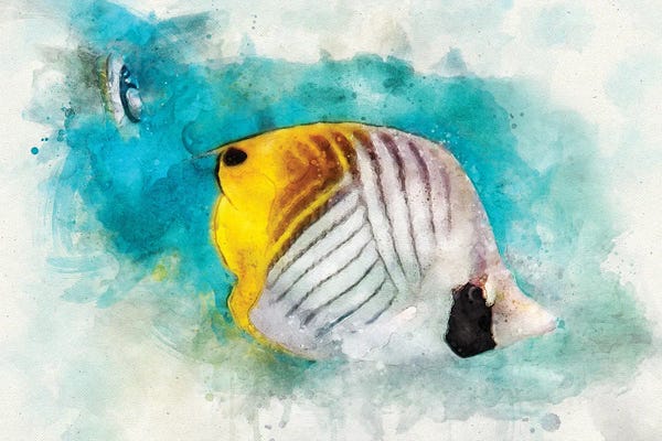 Butterfly Fish: Threadfin Butterflyfish Watercolor by Christine Zalewski