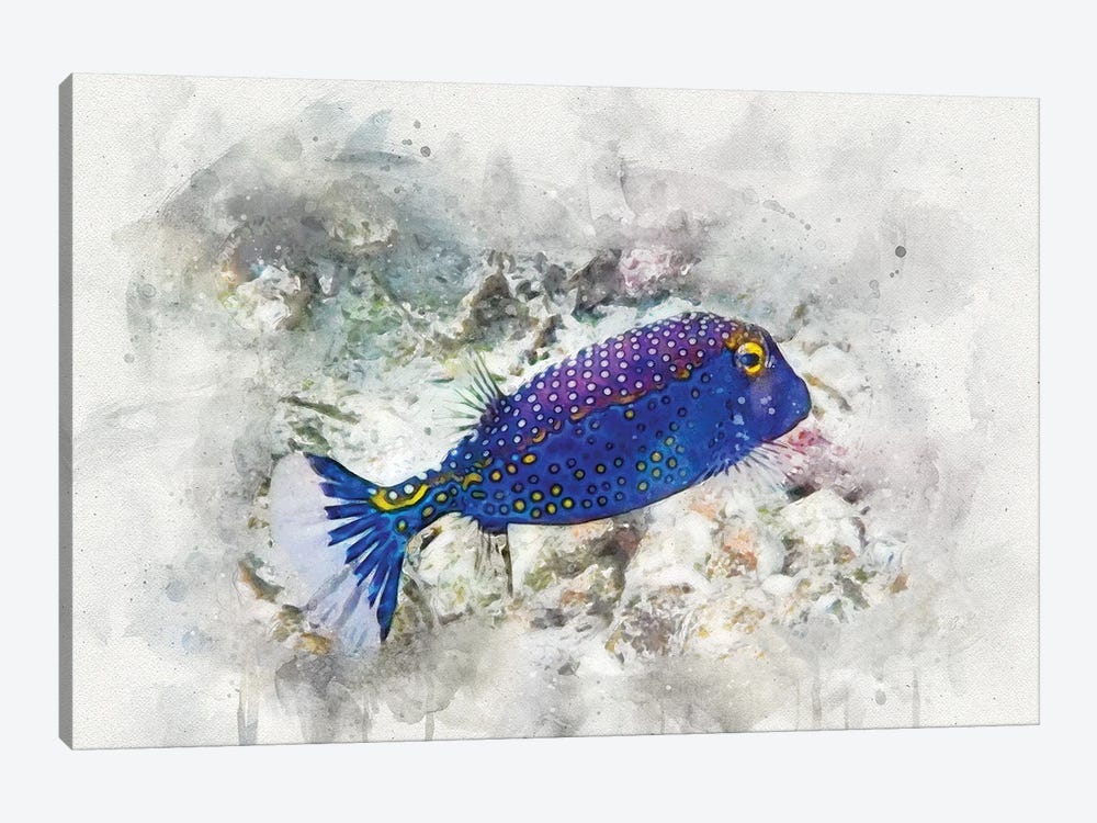 Spotted Boxfish by Christine Zalewski 1-piece Canvas Art