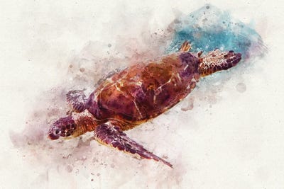 Green Sea Turtle I by Christine Zalewski canvas print