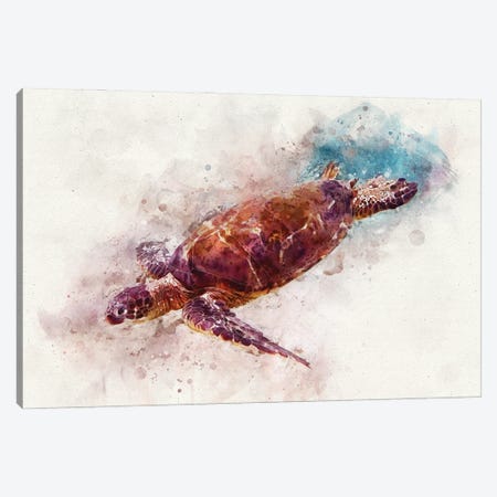 Green Sea Turtle I Canvas Print #ZLW17} by Christine Zalewski Art Print