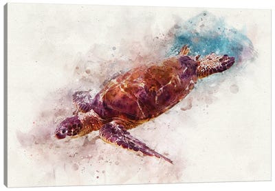 Green Sea Turtle I Canvas Art Print