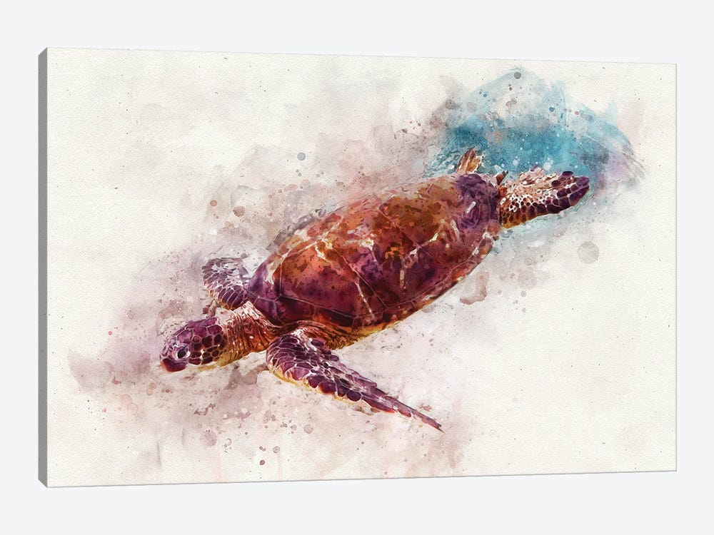 Green Sea Turtle I by Christine Zalewski 1-piece Canvas Art Print