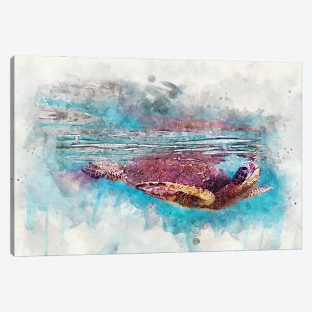 Green Sea Turtle II Canvas Print #ZLW18} by Christine Zalewski Canvas Art