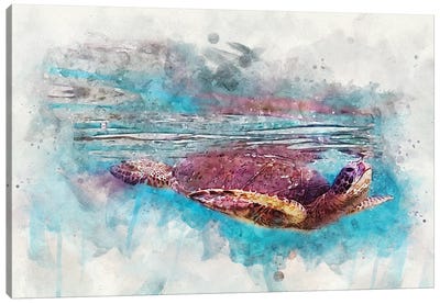 Green Sea Turtle II Canvas Art Print