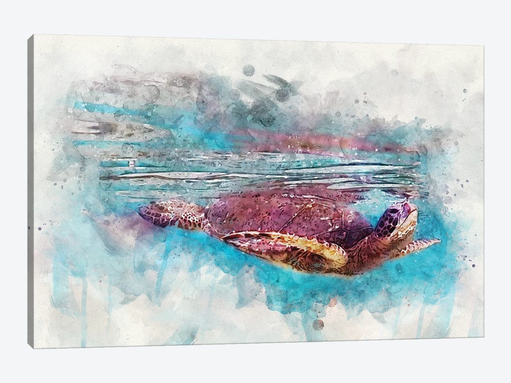 Green Sea Turtle II by Christine Zalewski 1-piece Canvas Art