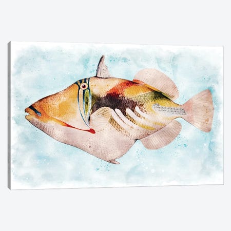 Hawaiian Picasso Triggerfish Watercolor Canvas Print #ZLW47} by Christine Zalewski Canvas Artwork