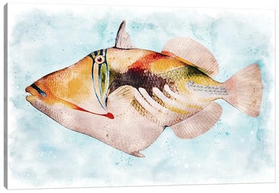 Hawaiian Picasso Triggerfish Watercolor Canvas Art Print
