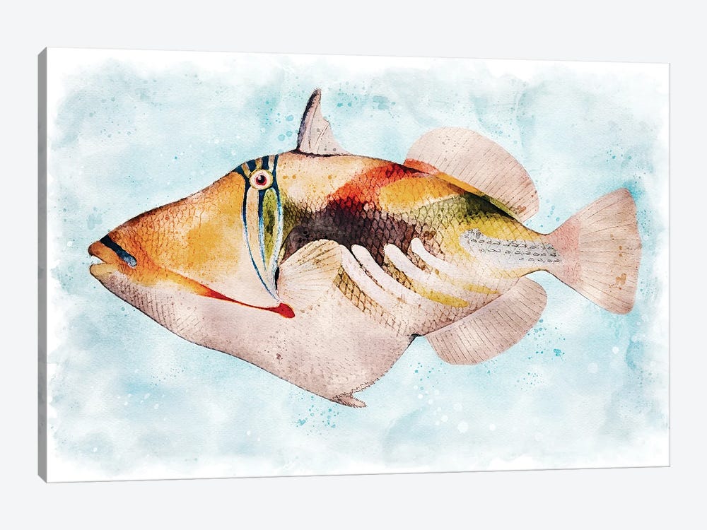 Hawaiian Picasso Triggerfish Watercolor by Christine Zalewski 1-piece Canvas Wall Art