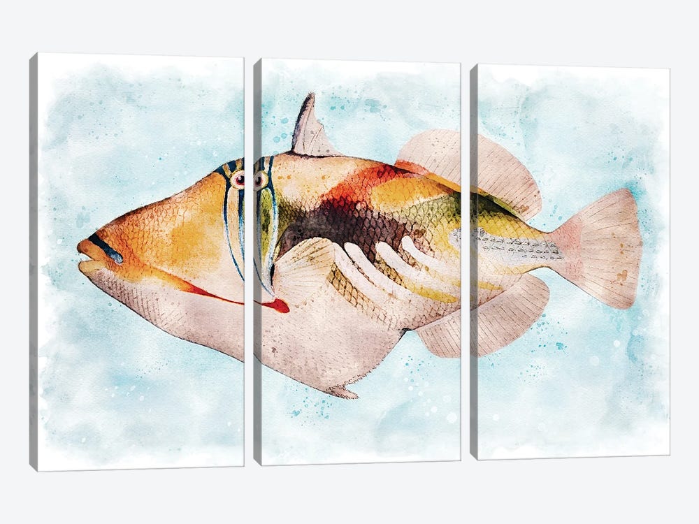 Hawaiian Picasso Triggerfish Watercolor by Christine Zalewski 3-piece Canvas Artwork