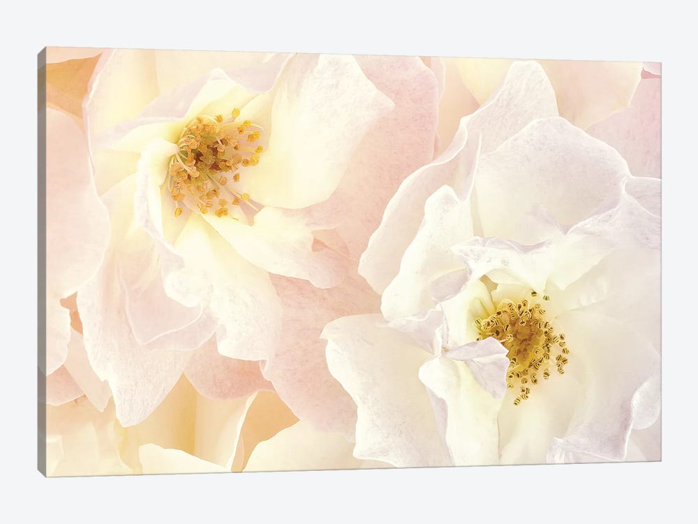 Pink Blossoms II by Christine Zalewski 1-piece Canvas Art Print