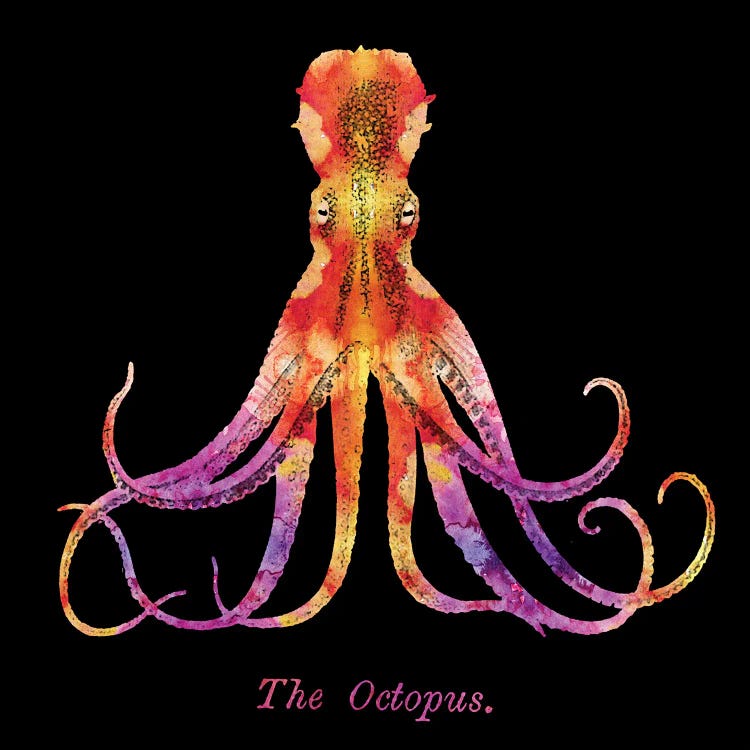 Retro Octopus Tie Dye II by Christine Zalewski wall art