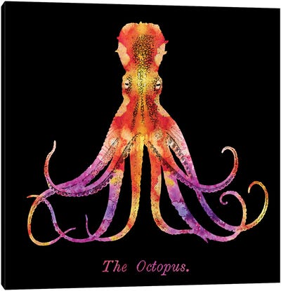 Retro Octopus Tie Dye II Canvas Art Print