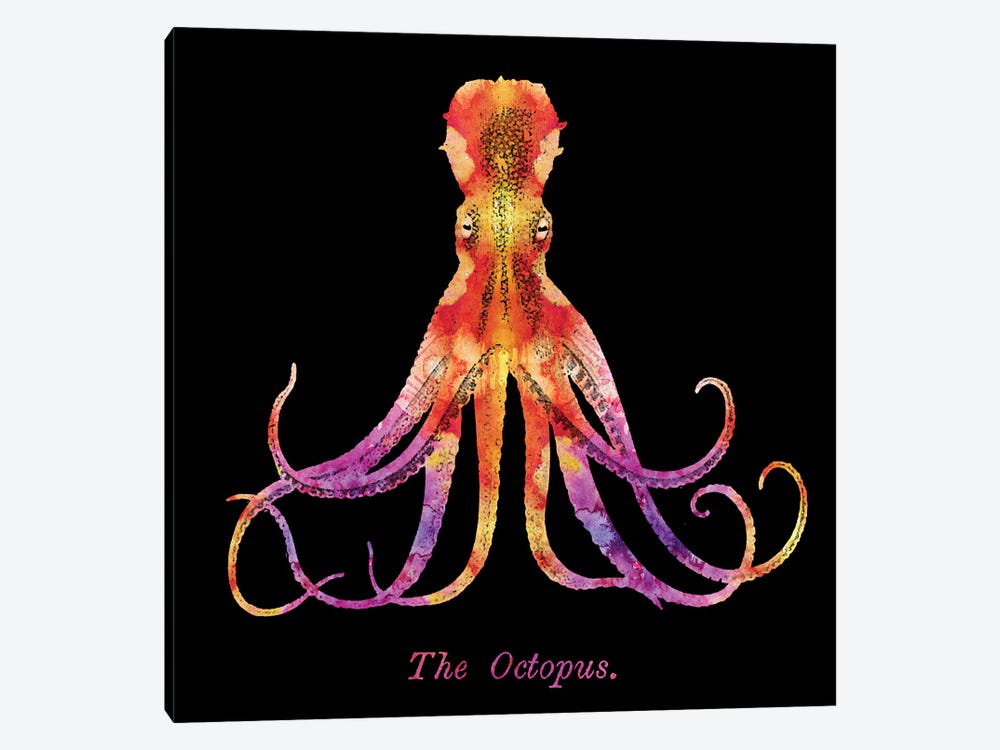 Retro Octopus Tie Dye II by Christine Zalewski 1-piece Canvas Artwork