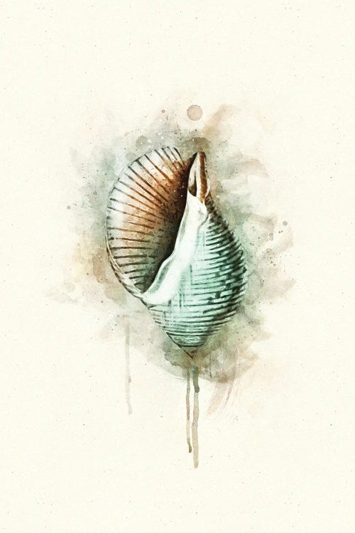 Tropical Coastal Shell Watercolor G Teal