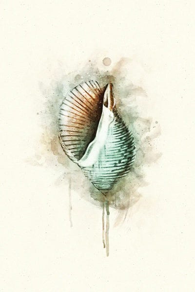 Christine Zalewski: Tropical Coastal Shell Watercolor G Teal by Christine Zalewski