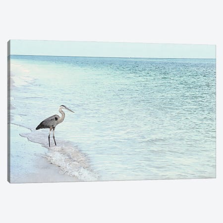 Blue Heron- Shorebirds Of Florida Canvas Print #ZLW57} by Christine Zalewski Canvas Print