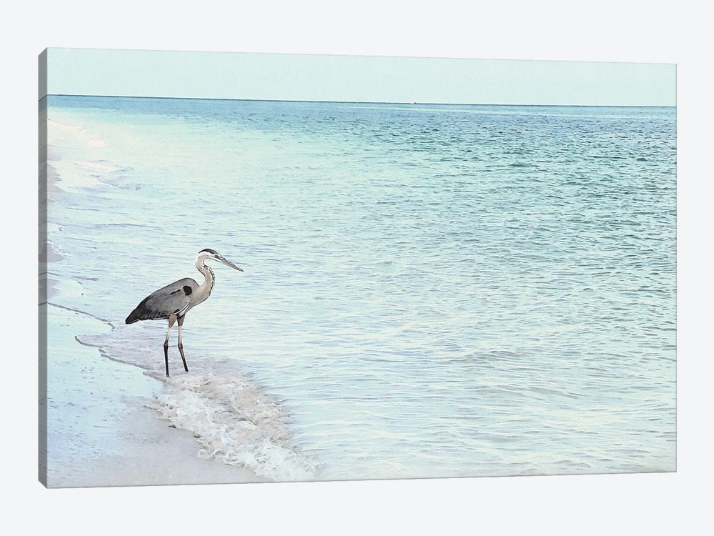 Blue Heron- Shorebirds Of Florida by Christine Zalewski 1-piece Art Print