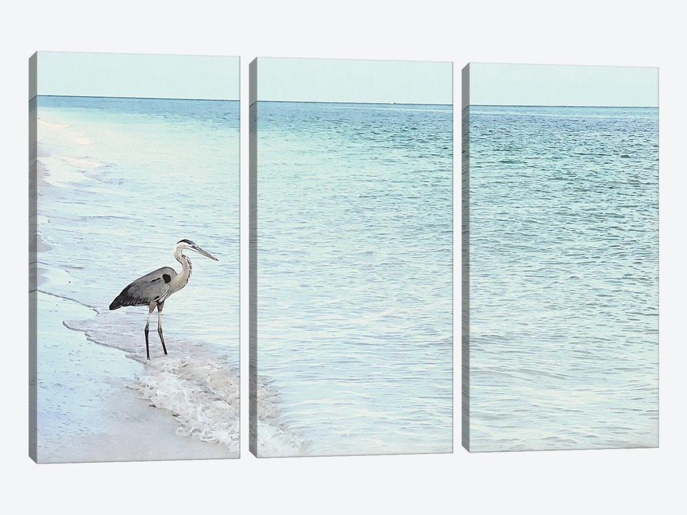 Blue Heron- Shorebirds Of Florida by Christine Zalewski 3-piece Canvas Print