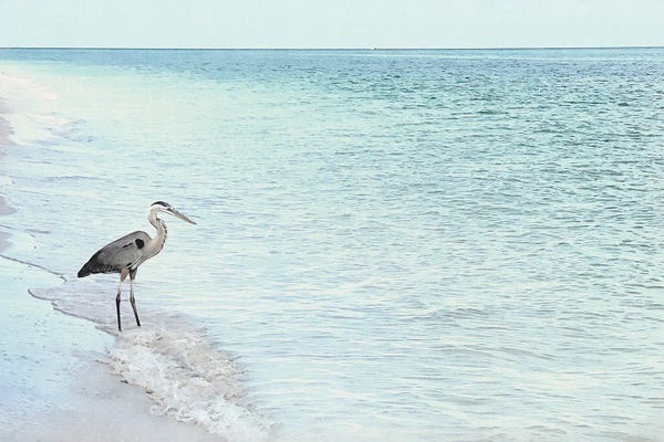 Christine Zalewski: Blue Heron- Shorebirds Of Florida by Christine Zalewski