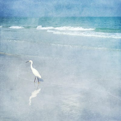 Coastal Egret I by Christine Zalewski canvas print