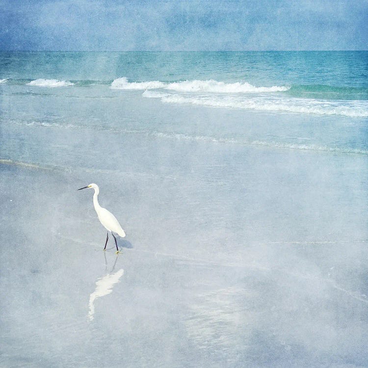 Coastal Egret I by Christine Zalewski wall art