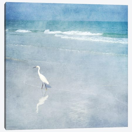 Coastal Egret I Canvas Print #ZLW58} by Christine Zalewski Canvas Artwork