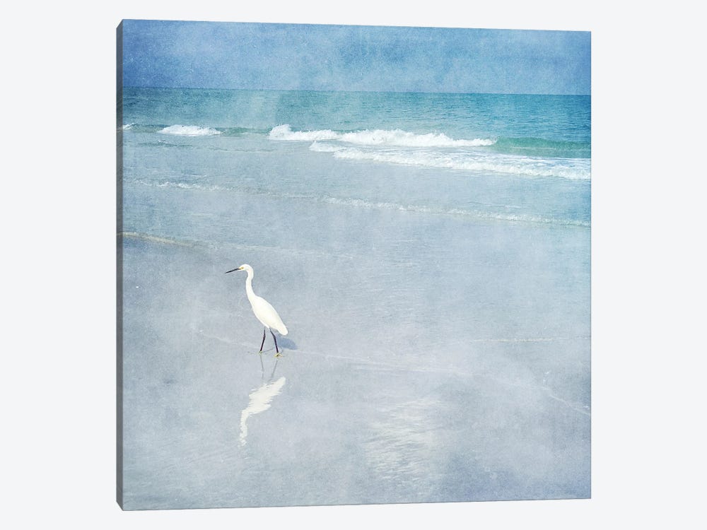 Coastal Egret I by Christine Zalewski 1-piece Canvas Artwork