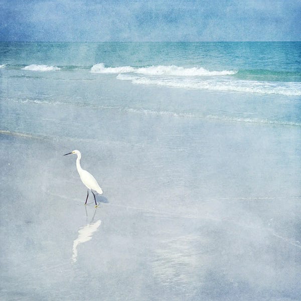 Christine Zalewski: Coastal Egret I by Christine Zalewski