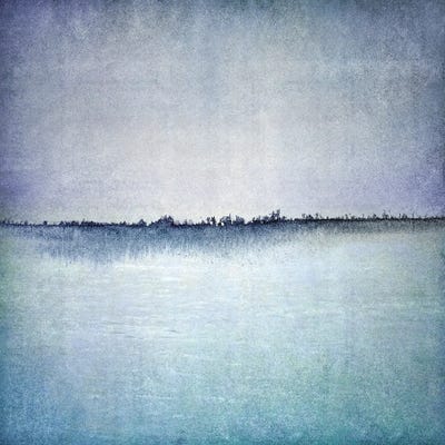 Indigo, And Lavender Coast II by Christine Zalewski canvas print