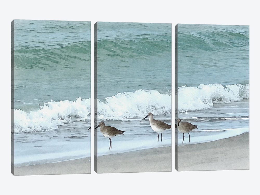 Sandpipers - Shorebirds Of Florida by Christine Zalewski 3-piece Art Print