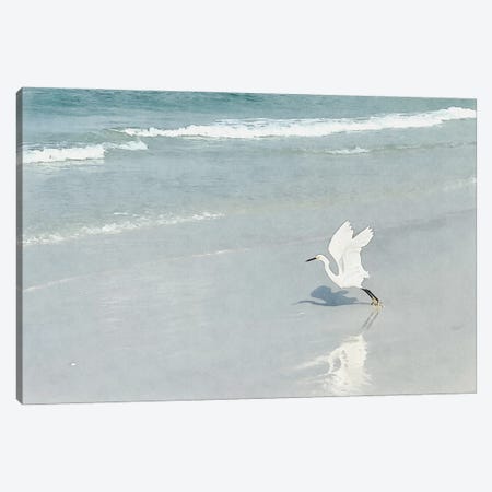 White Egret - Shorebirds Of Florida Canvas Print #ZLW69} by Christine Zalewski Canvas Art Print