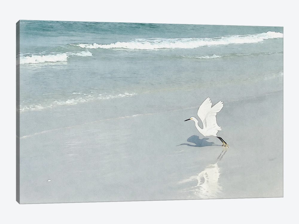 White Egret - Shorebirds Of Florida by Christine Zalewski 1-piece Canvas Art