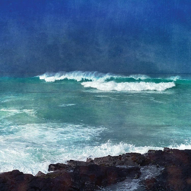 Storm Dance I by Christine Zalewski wall art