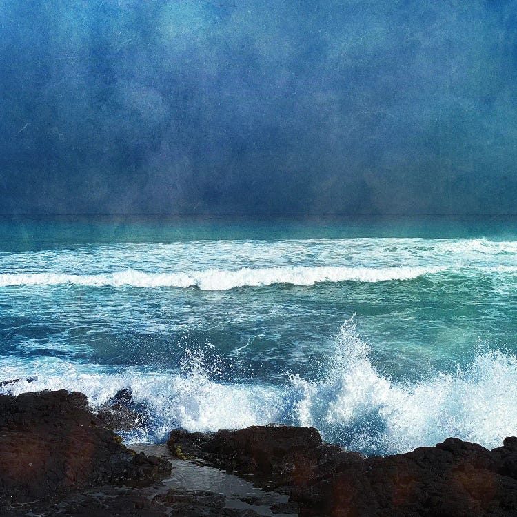 Storm Dance II by Christine Zalewski wall art