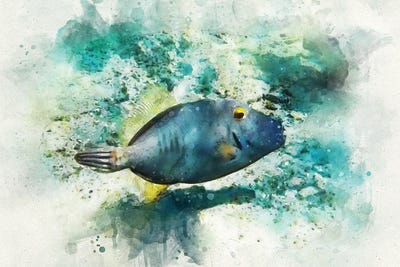 Barred Filefish Watercolor by Christine Zalewski canvas print