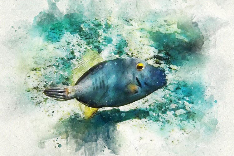 Barred Filefish Watercolor by Christine Zalewski wall art