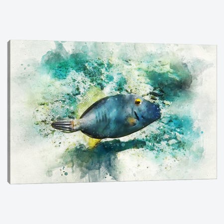 Barred Filefish Watercolor Canvas Print #ZLW9} by Christine Zalewski Canvas Art
