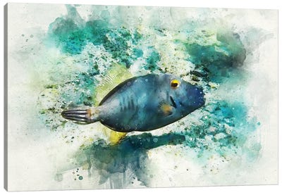 Barred Filefish Watercolor Canvas Art Print