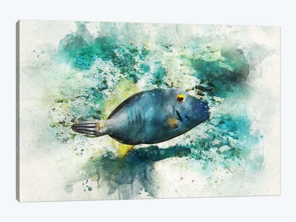 Barred Filefish Watercolor by Christine Zalewski 1-piece Canvas Artwork