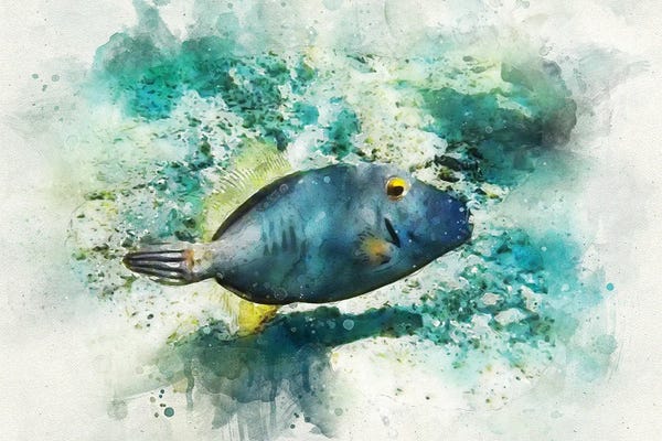 Christine Zalewski: Barred Filefish Watercolor by Christine Zalewski