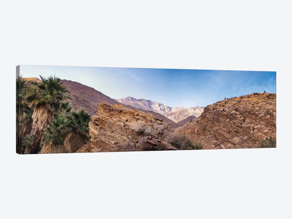 Indian Canyons, Palm Springs, California by Zandria Muench Beraldo 1-piece Canvas Art