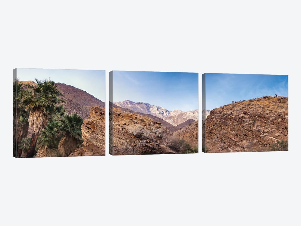 Indian Canyons, Palm Springs, California by Zandria Muench Beraldo 3-piece Canvas Wall Art