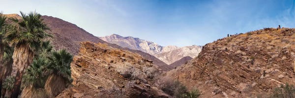 Indian Canyons Palm Springs California Landscape