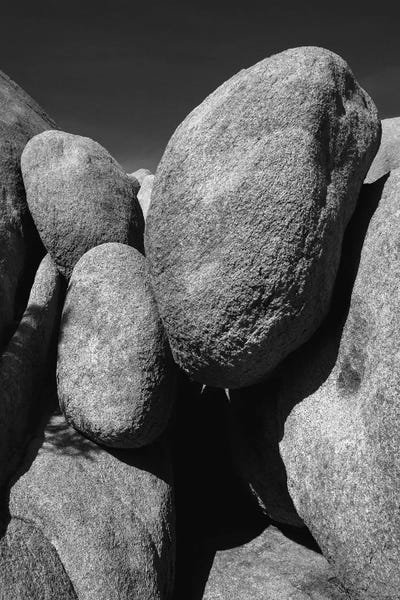 Zandria Muench Beraldo: Joshua Tree National Park, California by Zandria Muench Beraldo