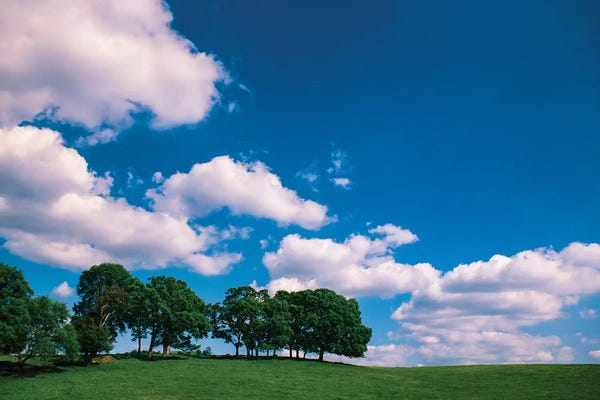 Zandria Muench Beraldo: Mother Lode Country, Sierras, California by Zandria Muench Beraldo