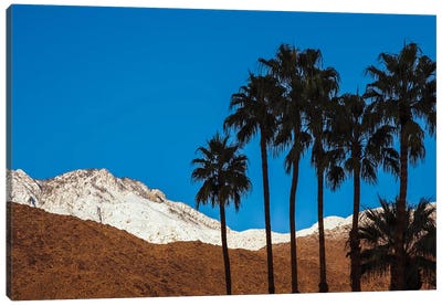 Palm Springs, California Canvas Art Print