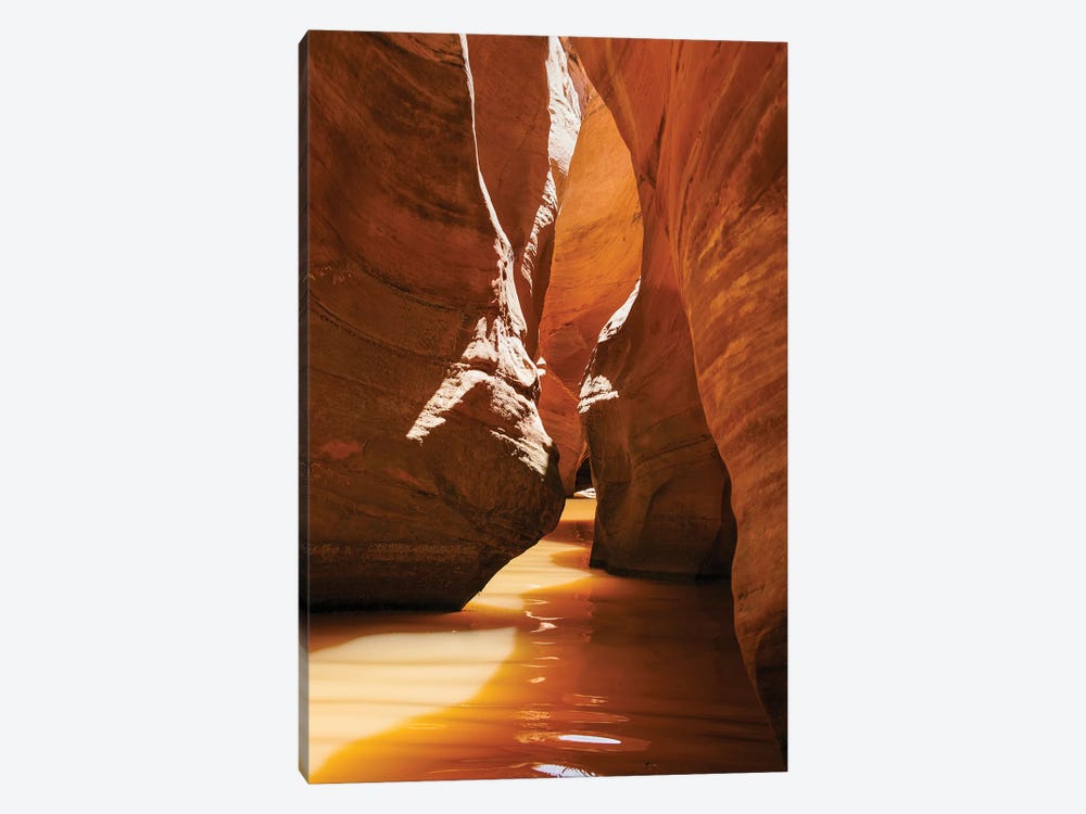 Slot Canyon at Lake Powell NRA, Utah by Zandria Muench Beraldo 1-piece Canvas Print